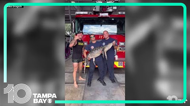 Florida man wrangles alligator loose in fire station