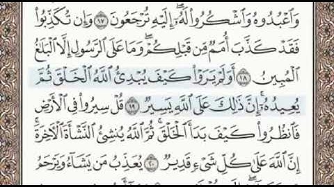 سورة العنكبوت الصفحة 398 الشيخ محمد صديق المنشاوي
