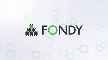About FONDY — Unified Payment Platform