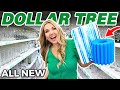 WATCH THIS BEFORE SHOPPING AT DOLLAR TREE!