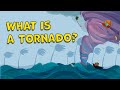 What is a tornado how is a tornado formed tornado facts  tornado facts for kids  tornados