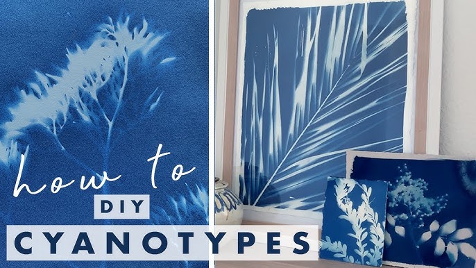 Cyanotype Tutorial — Blue Ridge Botanic