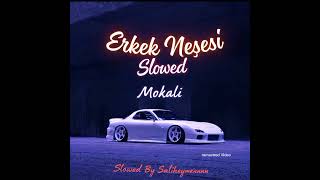 Erkek Neşesi - Slowed