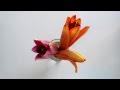 Распускающиеся цветы - Лилия. (Lapse It Pro)
