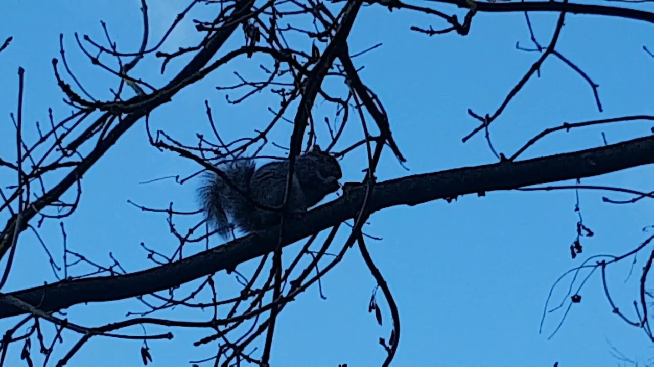 Amazing place in the UK - Roundhay Park Leeds West Yorkshire part 1