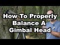 How To Balance A Gimbal Head