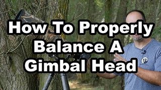 How To Balance A Gimbal Head