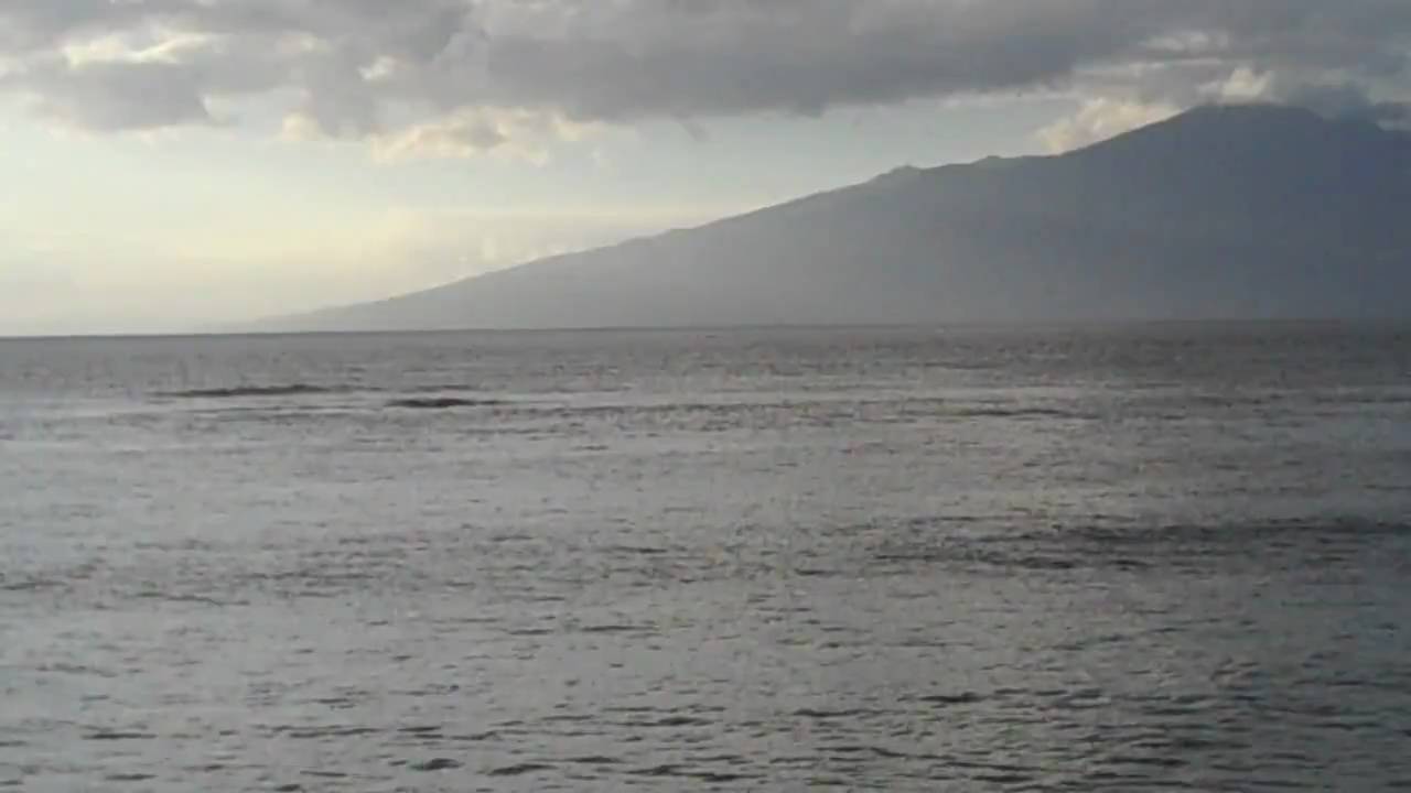 Sunset & Whale Tail slapping