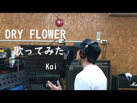 ドライフラワー歌ってみた【Kai】