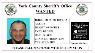 York's Most Wanted - Updated May 2023