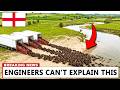 England Released Beavers Into a Dead River — What They Built Changed Everything