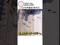 これが世界最高の牧羊犬…