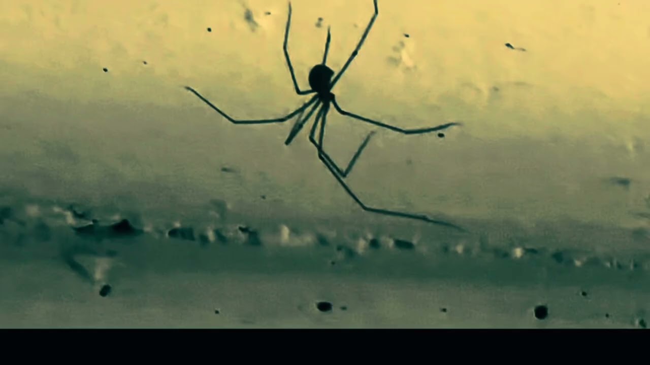 Making of - mit renitoni photografie cinematic by NOVAMOV