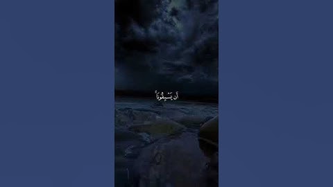 ما تيسر من سورة العنكبوت _بصوت _القارئ _احمد النفيس