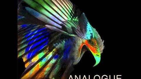 Analogue Techno Synths 2