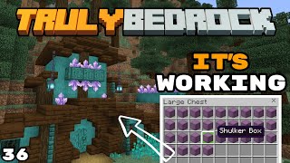 Shulker Farm Is Working, Hobbit Home & Shenanigans - Truly Bedrock Season 4 Minecraft SMP Episode 36