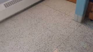 Ellen With Koda Gursoy 2022