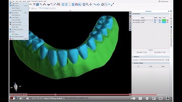 BlueSkyPlan 4.12: Copy Denture For A 2 Color Printer