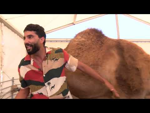 El Magazine (27/04/2026) Parte 3 - FERIA INSULAR DE GANADO SAN ISIDRO LABRADOR DE UGA