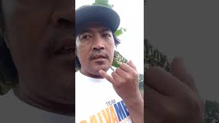 planting 3 varieties of hybrid corn seeds.  pioneer 3585yhr , pioneer 3645 , declab 8899