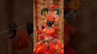 श्याम कृष्ण भजन #shorts #short #shortvideo Zindagi Rewind
