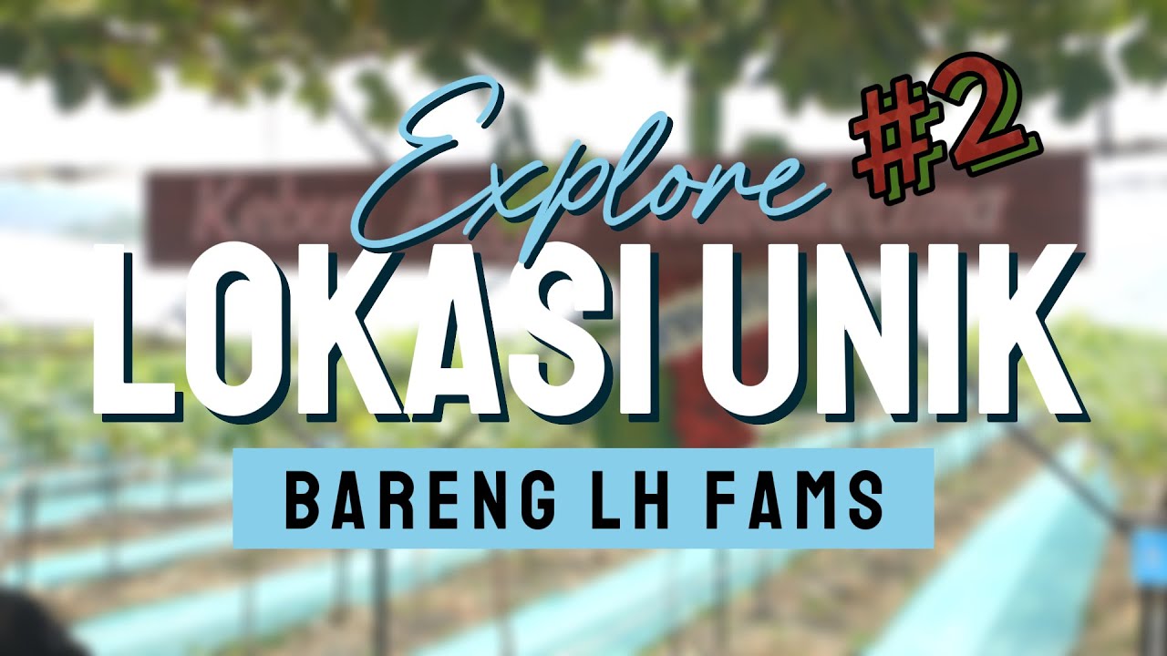 PART 2 menikmati wisata edukasi di Wanadelima Orchard! #jogja #wisata #wisataedukasi #holiday #trip