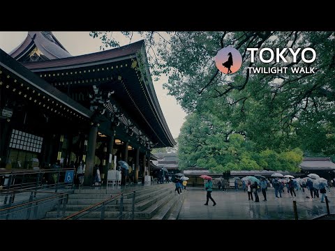 Japan, Tokyo walking tour in heavy rain | Meiji Jingu Shrine in evening [4K]