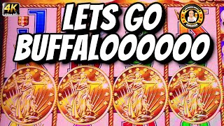 Lets Go Buffalo - Buffalo Gold Slot Machine screenshot 5