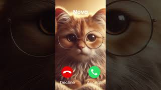 Nova is calling #cat #ringtone #trending