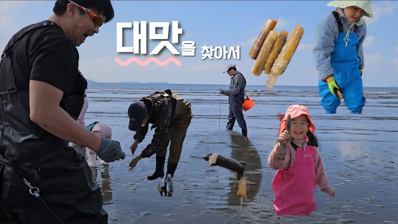 갯벌의 황제 대맛조개를 찾아서 (feat. 몽산포)