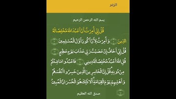 قل إنى أمرت أن أعبد الله مخلصا له الدين . آيات من القرآن الكريم .