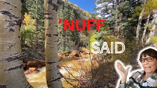 My yearly fall drive | This year, Million Dollar Highway.
