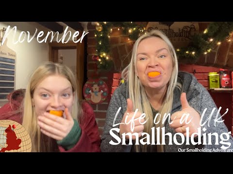 Smallholding Winter: Snow,