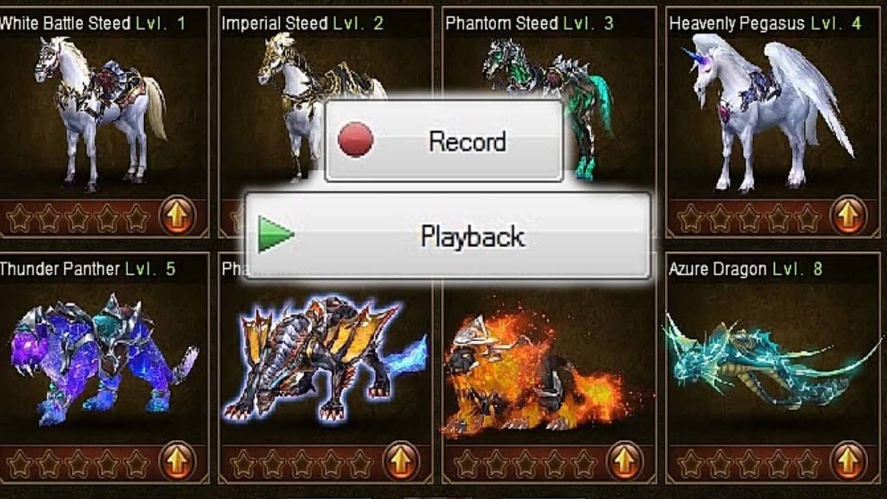 Stables Level 6 to 8 | 30k+ Whips | DolyGames Easy Macro Recorder v1.0 - Example Stables