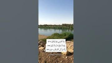 ﴿ وَلَا تُخْزِنِي يَوْمَ يُبْعَثُونَ﴾ سورة الشعراء / القارئ عبدالله الموسى