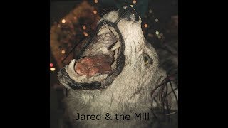 Jared & the Mill, interview at Bonnaroo