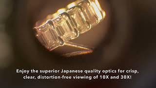 GEMORO ELITE 1030PM MICROSCOPE