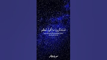#ياسر_الدوسري #اكسبلور #قران #لايك #دويتو #islamic_video #راحة_نفسية #quran #حالات_واتس #تلاوات
