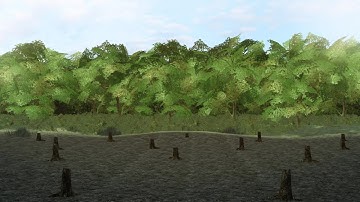 Deforestation in Brazil