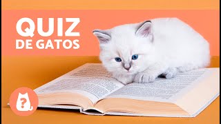 Teste: quantos animais fofos você conhece?