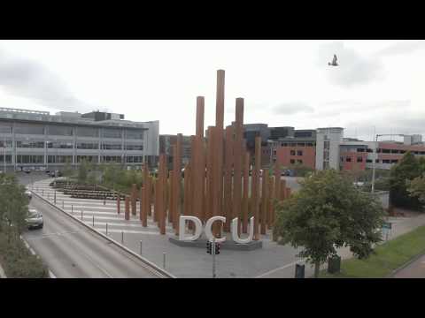 Aviation Management with Pilot Studies / Air Traffic Controller Studies - DC117