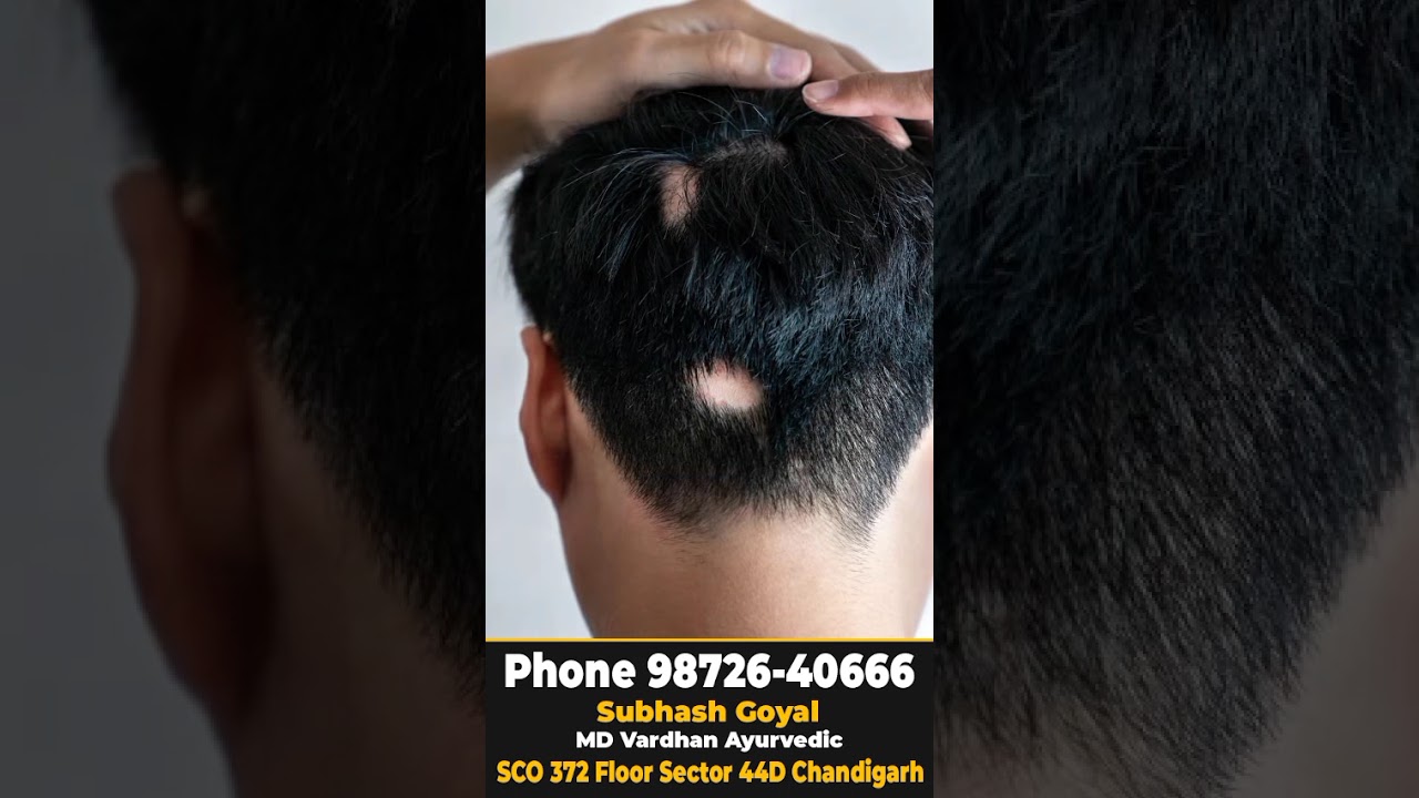⁣Contact us 9872640666
