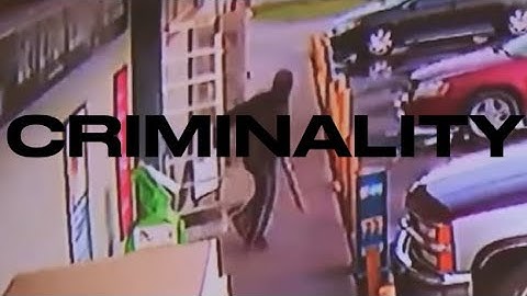 Criminality 2.5 leaks