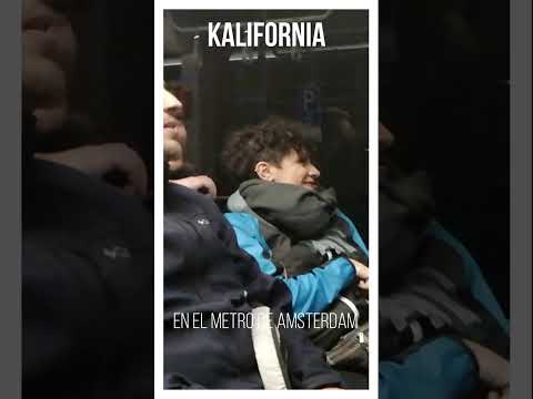 Despacito · Luis Fonsi y Daddy Yankee · Orquesta Kalifornia en directo
