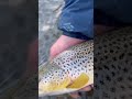 Yellowstone River Sunrise Float