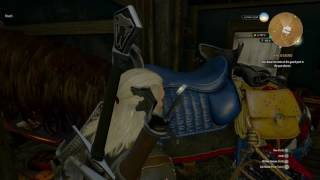 Celebrity The Witcher 3: Wild Hunt GLITCH Roach Horse Spawn in House Profile