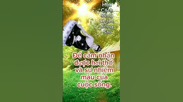Học Cách Sống Chậm, Sống Sâu #đứcphật #loivangphatdaythichphaphoa