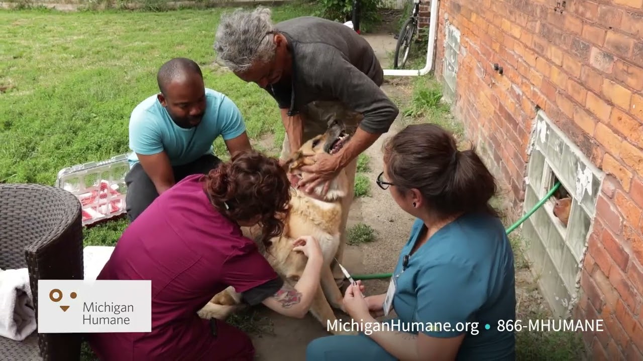 Michigan Humane: Access to Care