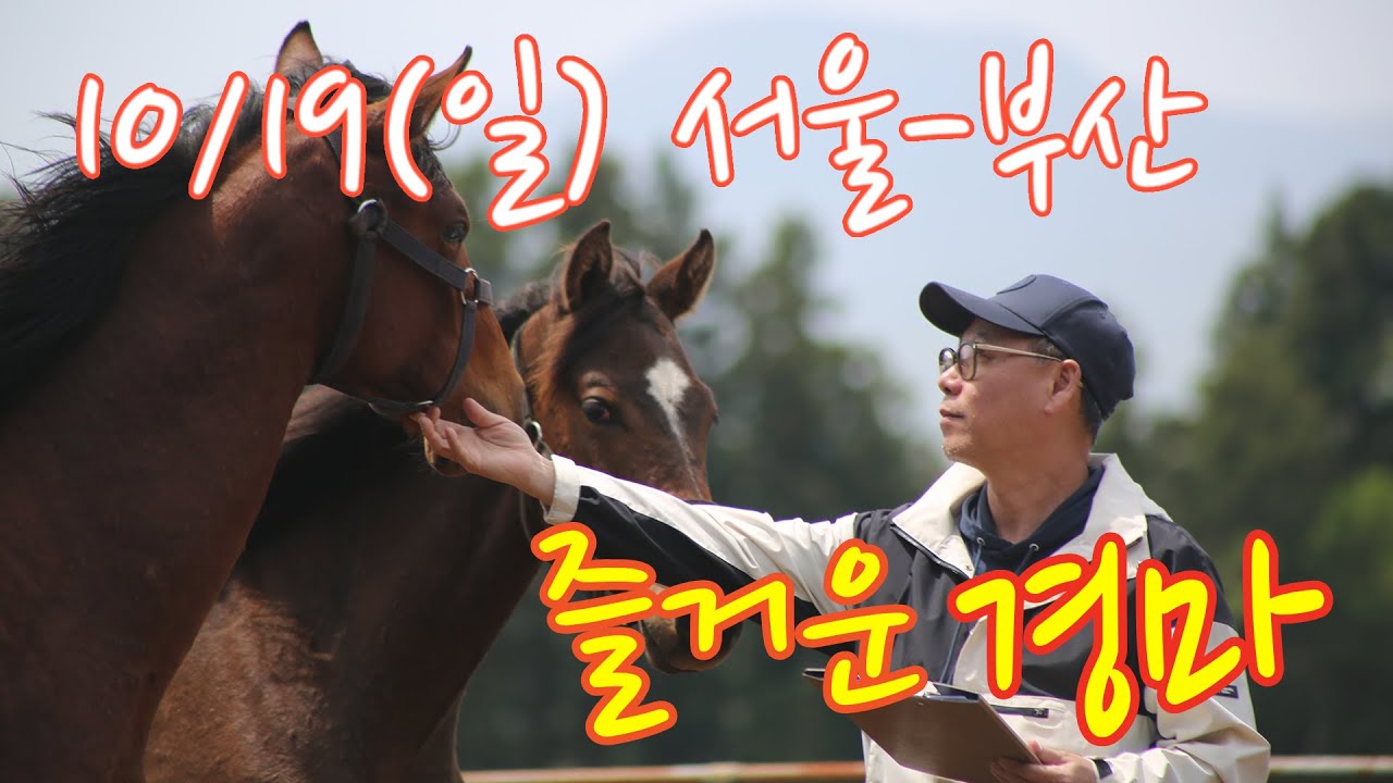 김호경마 10월 19일 일요일 서울-부산경마방송