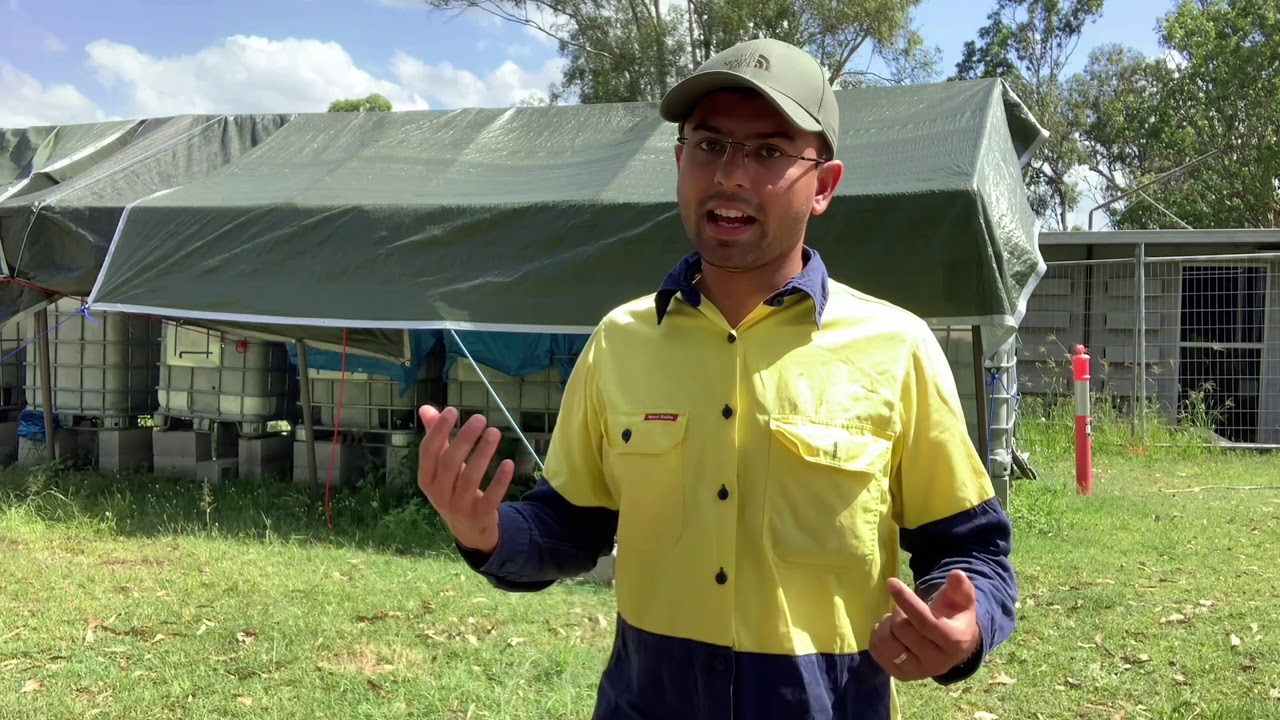 Salinity prediction from coal mine spoil